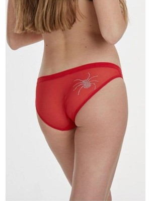 X-Lady x Lady 536 Geniş Kenar Külot