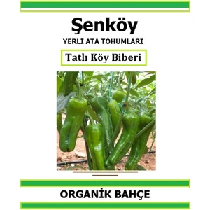 Yerli Tatlı Köy Biber Tohumu Doğal Ata Tohum Pakette 20 Tohum + Hediye Sebze Tohumu