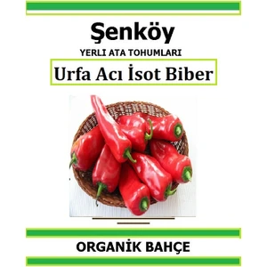 Yerli Urfa Acı Isot Kapya Biber Tohumu Doğal Ata Tohum Pakette 20 Tohum +Hediye Sebze Tohumu