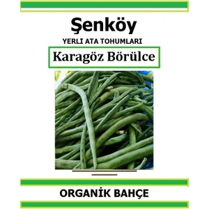 Yerli Karagöz Börülce Acebek Tohumu Doğal Ata Tohum Pakette 10 Gr 50 Tohum + Hediye Sebze Tohumu