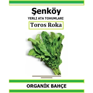 Yerli Toros Roka Tohumu Doğal Ata Tohum Pakette 20 Tohum + Hediye Sebze Tohumu
