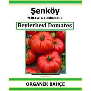 Yerli Beylerbeyi Domates Tohumu Doğal Ata Tohum Pakette 20 Tohum + Hediye Sebze Tohumu