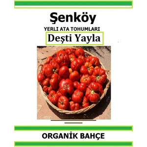 Yerli Deşti Yayla Domates Tohumu Doğal Ata Tohum Pakette 20 Tohum + Hediye Sebze Tohumu