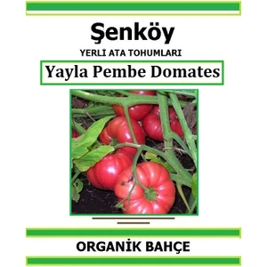 Yerli  Pembe Yayla Domates Tohumu Doğal Ata Tohum Pakette 20 Tohum + Hediye Sebze Tohumu