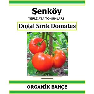 Yerli Doğal Sırık Domates Tohumu Doğal Ata Tohum Pakette 10 Tohum + Hediye Sebze Tohumu