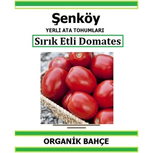 Yerli Sırık Salçalık Domates Tohumu Doğal Ata Tohum Pakette 10 Tohum +Hediye Sebze Tohumu