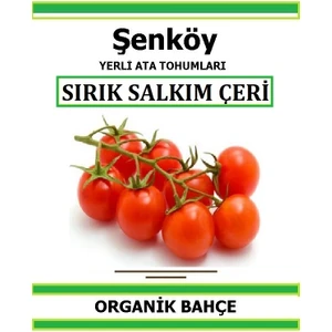 Yerli Sırık Salkım Çeri Domates Tohumu Doğal Ata Tohum Pakette 20 Tohum +Hediye Sebze Tohumu