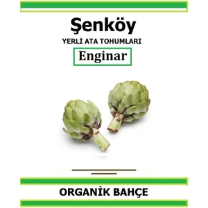 Yerli Erkenci Enginar Tohumu Doğal Ata Tohum Pakette 10 Tohum + Hediye Sebze Tohumu