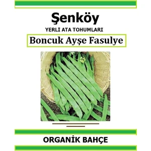 Yerli Sırık Boncuk Ayşe Fasulye Tohumu Doğal Ata Tohum Pakette 20 Tohum + Hediye Sebze Tohumu