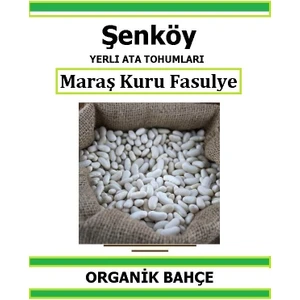 Yerli Maraş Kuru Fasulye Tohumu Doğal Ata Tohum Pakette 25 gR 60 Tohum + Hediye Sebze Tohumu