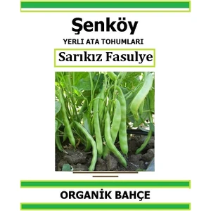 Yerli Oturak Sarıkız Fasulye Tohumu Doğal Ata Tohum Pakette 20 Tohum + Hediye Sebze Tohumu