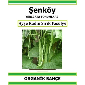 Yerli Sırık Ayşe Kadın Fasulye Tohumu Doğal Ata Tohum Pakette 20 Tohum + Hediye Sebze Tohumu