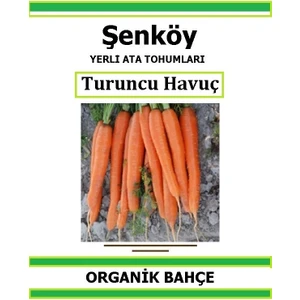 Yerli Turuncu Havuç Tohumu Doğal Ata Tohum Pakette 5 Gr 2500 Tohum + Hediye Sebze Tohumu