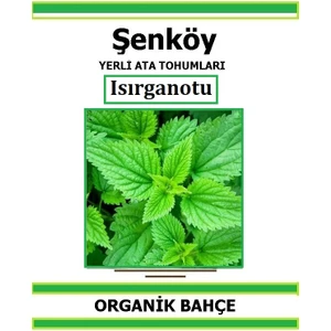 Yerli Isırganotu  Tohumu Doğal Ata Isırgan Otu Tohum Pakette 500 Tohum + Hediye Sebze Tohumu