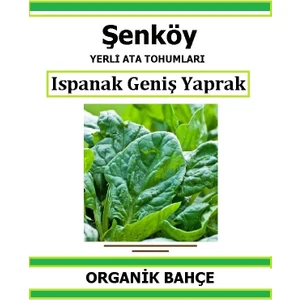 Yerli Ispanak Tohumu Doğal Ata Tohum Pakette 5 gr 500 Tohum + Hediye Sebze Tohumu