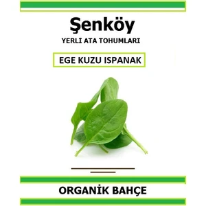 Yerli Kuzu Ispanak Tohumu Doğal Ata Tohum Pakette 5 gr 500 Tohum + Hediye Sebze Tohumu