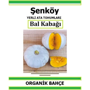 Yerli Bal Kabak Tohumu Doğal Ata Tohum Pakette 20 Tohum + Hediye Sebze Tohumu