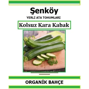 Yerli Kolsuz Kara Kabak Tohumu Doğal Ata Tohum Pakette 20 Tohum + Hediye Sebze Tohumu