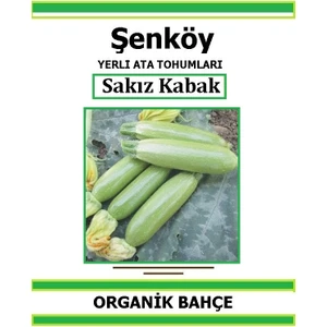 Yerli Beyaz Sakız Kabak Tohumu Doğal Ata Tohum Pakette 30 Tohum + Hediye Sebze Tohumu