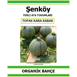 Yerli Topak Kara Kabak Tohumu Doğal Ata Tohum Pakette 20 Tohum + Hediye Sebze Tohumu