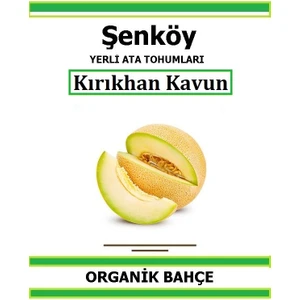 Yerli Kırıkhan Ananas Kavun Tohumu Doğal Ata Tohum Pakette 20 Tohum + Hediye Sebze Tohumu