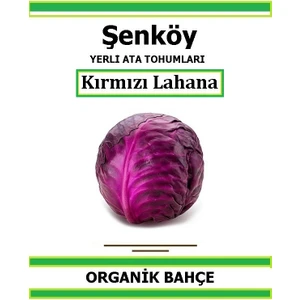 Yerli Kırmızı Lahana Tohumu Doğal Ata Tohum Pakette 100 Tohum + Hediye Sebze Tohumu