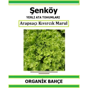 Yerli Kıvırcık Marul Tohumu Doğal Ata Tohum Pakette 200 Tohum + Hediye Sebze Tohumu