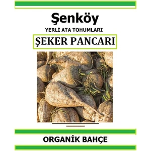 Yerli Şeker Pancarı Tohumu Doğal Ata Tohum Pakette 5 Gr  250 Tohum + Hediye Sebze Tohumu