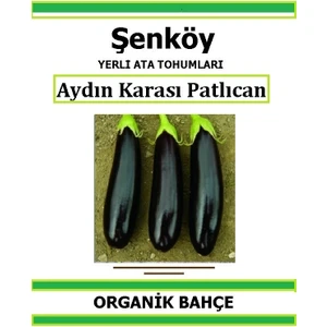 Yerli Aydın Karası  Patlıcan Tohumu Doğal Ata Tohum Pakette 20 Tohum + Hediye Sebze Tohumu