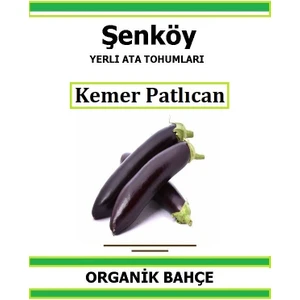 Yerli Kemer  Patlıcan Tohumu Doğal Ata Tohum Pakette 20 Tohum + Hediye Sebze Tohumu