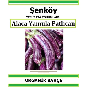 Yerli Yamula Ala Patlıcan Tohumu Doğal Ata Tohum Pakette 20 Tohum + Hediye Sebze Tohumu