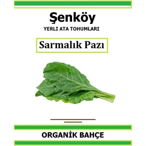 Yerli Sarmalık Pazı Tohumu Doğal Ata Tohum Pakette 5 gr 200 Tohum + Hediye Sebze Tohumu