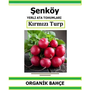 Yerli Kırmızı Turp Tohumu Doğal Ata Tohum Pakette 5 gr 600 Tohum + Hediye Sebze Tohumu