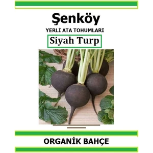 Yerli Siyah Turp Tohumu Doğal Ata Tohum Pakette 2 gr 240 Tohum + Hediye Sebze Tohumu