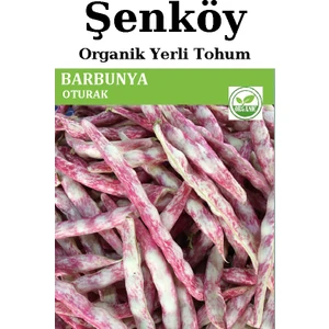 Oturak Barbunya Tohumu Doğal Niğde Oturak Barbunya Tohum Pakette 25 gr