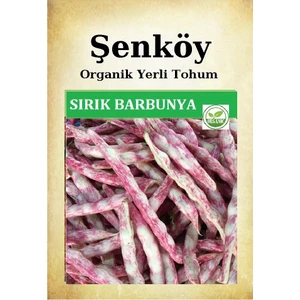 Sırık Barbunya Tohumu Doğal Ata Sırık Çillikız Barbunya Tohum Pakette 25 gr 60 Tohum