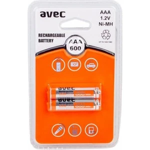 Erp-Avec Aaa Şarjlı Ince Pil 600 Mah 2'li