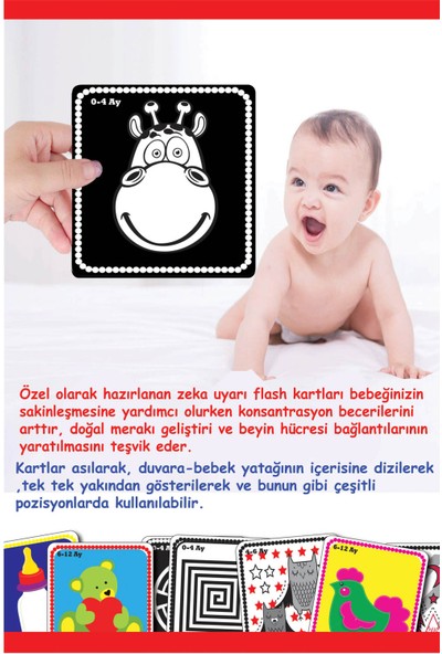 Diytoy Bebeğimin İlk Zeka Kartları (Flash Kart)