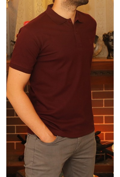 Arbour Polo Yaka Bordo Erkek T-Shırt