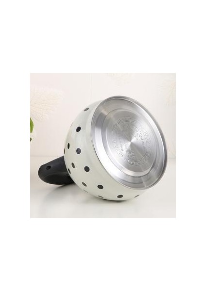 Demlik (Yurt Dışından) modelleri