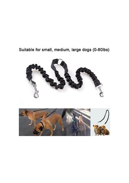 Bungee Çift Köpek Çoğaltıcı Kurşun, Hiçbir Arapsaçı Iki 2 Köpek Tasma ve Splitter Yürüyüş Yavru Küçük Orta Büyük Köpek (Siyah) (Yurt Dışından)