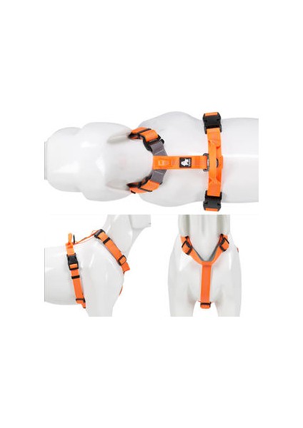 Pet Koşum Ayarlanabilir Yansıtıcı Naylon Yaka Leash Işık Neopren Yastıklı Yürüyüş Koşu Dropshipping | Köpek Yelekleri (Yurt Dışından)