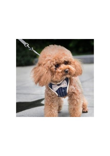 Köpek Kedi Pet Tasma Yelek Tipi Göğüs Kayışları Yürüyüşe Karşı Kedi Zinciri Kaçak Kaçak Kaçak Kaçak Kaçır (Yurt Dışından)