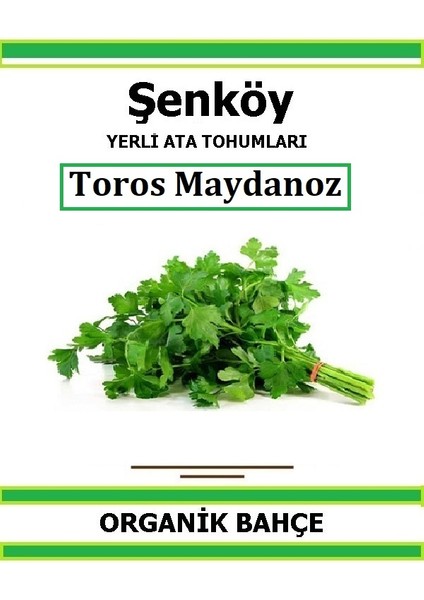 Yerli Toros Maydanoz Tohumu Doğal Ata Tohum Pakette 5 gr Tohum + Hediye Sebze Tohumu