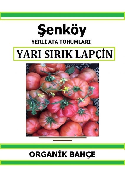 Yerli Lapçin Sırık Tabak Domates Tohumu Doğal Ata Tohum Pakette 20 Tohum + Hediye Sebze Tohumu