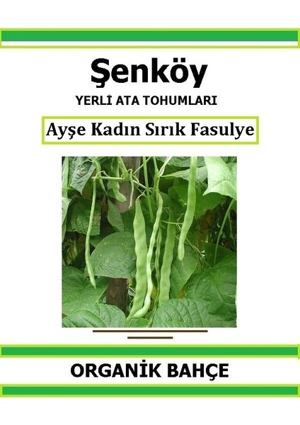 Yerli Sırık Ayşe Kadın Fasulye Tohumu Doğal Ata Tohum Pakette 20 Tohum + Hediye Sebze Tohumu