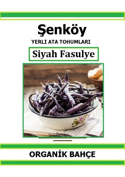 Yerli Siyah Fasulye Tohumu Doğal Ata Tohum Pakette 20 Tohum + Hediye Sebze Tohumu