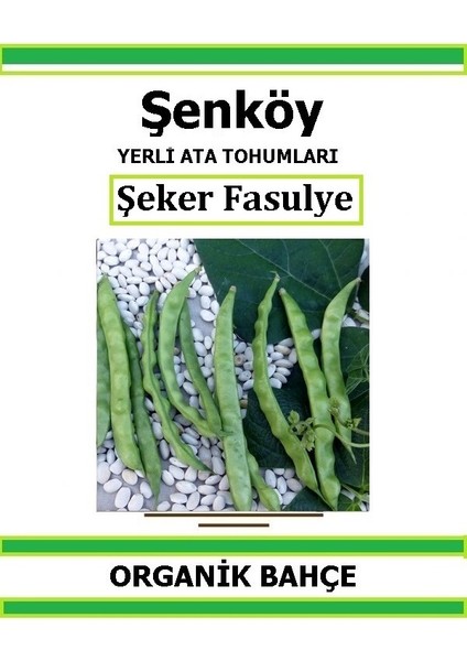 Yerli Şeker Fasulye Tohumu Doğal Ata Tohum Pakette 20 Tohum + Hediye Sebze Tohumu