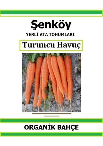 Yerli Turuncu Havuç Tohumu Doğal Ata Tohum Pakette 5 Gr 2500 Tohum + Hediye Sebze Tohumu