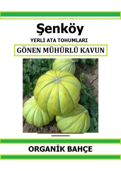 Yerli Gönen Mühürlü Kavun Tohumu Doğal Ata Tohum Pakette 20 Tohum + Hediye Sebze Tohumu